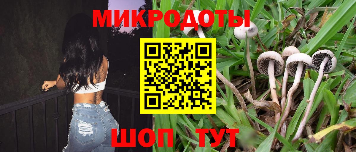 Псилоцибиновые грибы Cubensis  Галлюциногенные грибы Psilocybe  Вход с VPN  Электросталь 